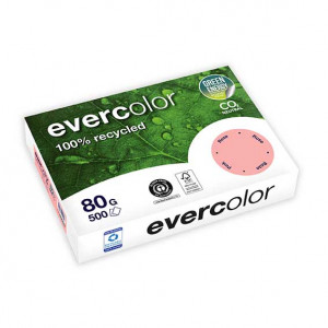 Evercolor 80g 210x297 R rosa