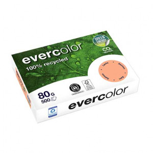 Evercolor 80g 210x297 R lachs
