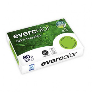 Evercolor 80g 210x297 R lindgrün