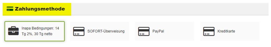 Screenshot Auswahl Zahlungsmethoden Webshop Inapa Deutschland